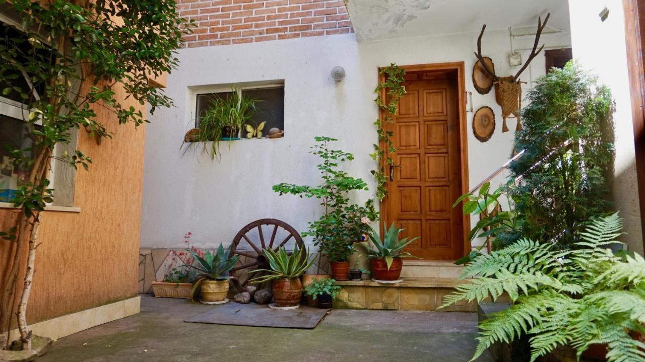 שיפקובו Pamir Guest House מראה חיצוני תמונה