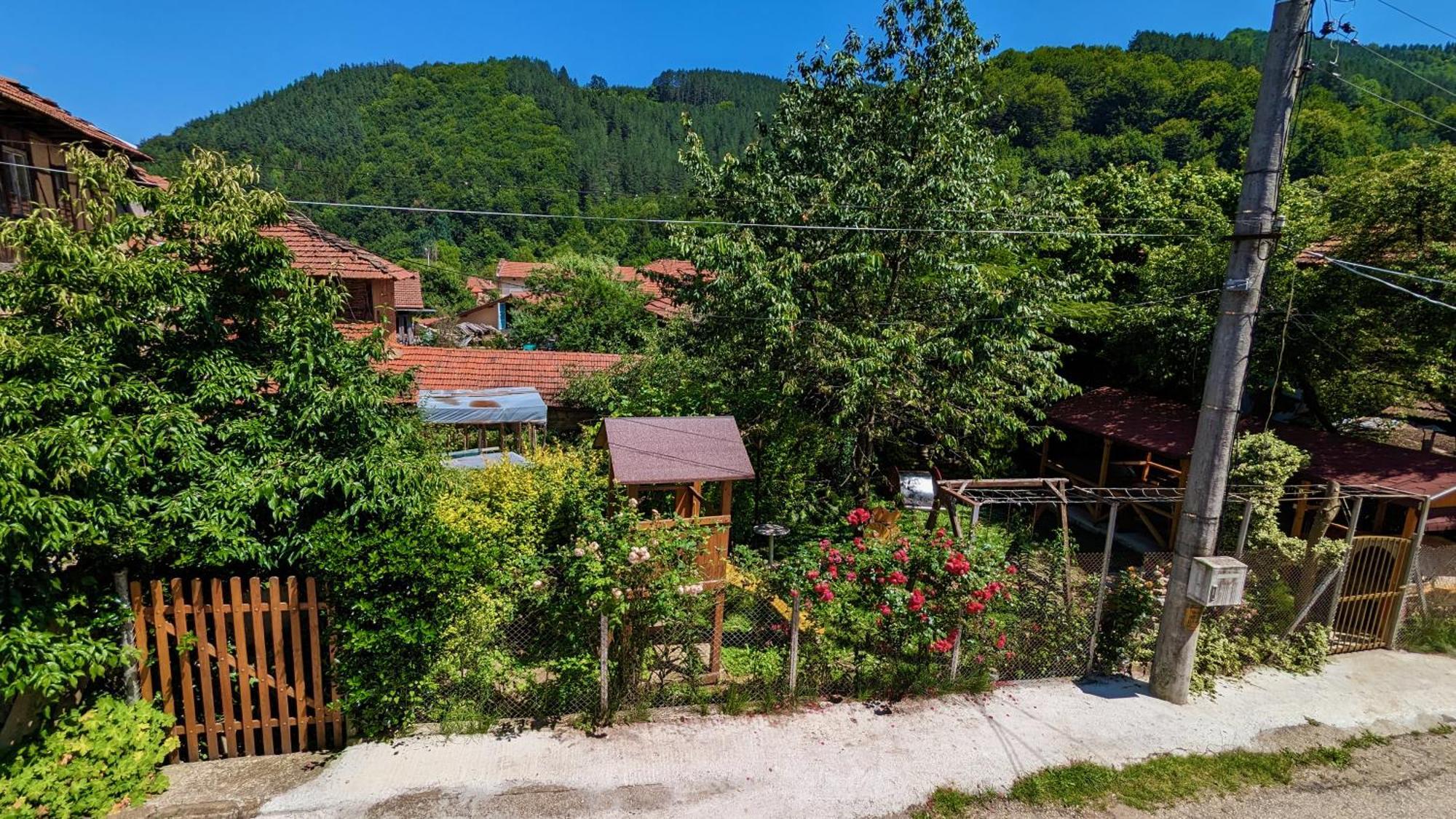 שיפקובו Pamir Guest House מראה חיצוני תמונה
