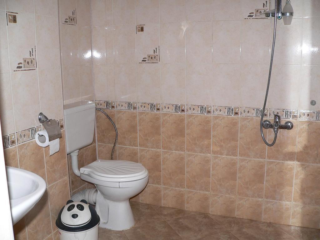 שיפקובו Pamir Guest House מראה חיצוני תמונה